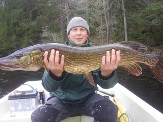 Northern Pike