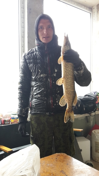 Northern Pike