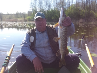 Northern Pike