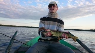Northern Pike