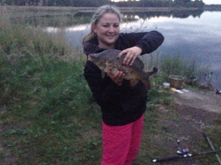 Mirror carp