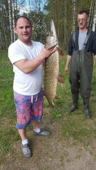 Northern Pike