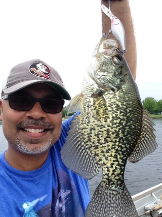 White Crappie