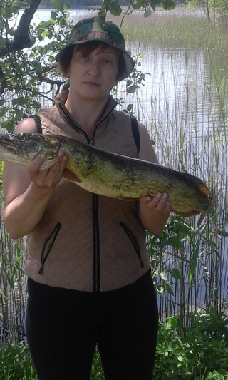 Northern Pike