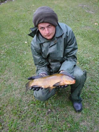 Tench