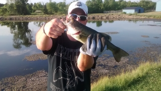 Largemouth Bass