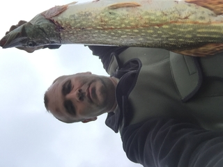 Northern Pike