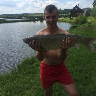 Grass carp