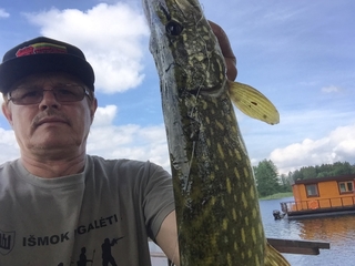 Northern Pike