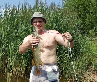 Northern Pike