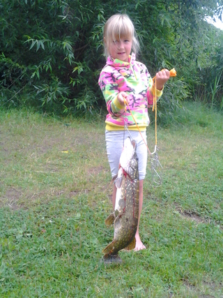 Northern Pike