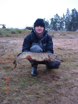 Northern Pike