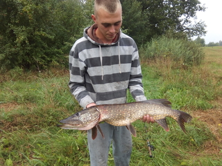 Northern Pike