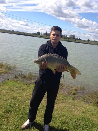 Mirror carp