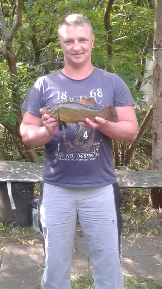 Tench