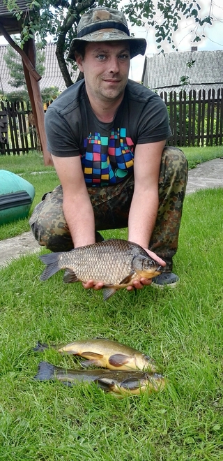 Prussian carp
