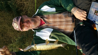 Northern Pike