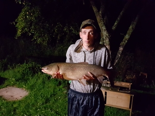 Grass carp