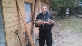 Northern Pike