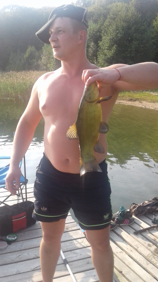 Tench