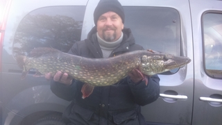 Northern Pike