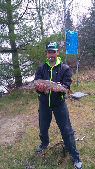 Northern Pike