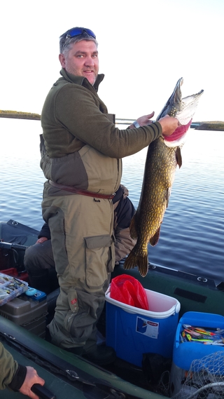 Northern Pike