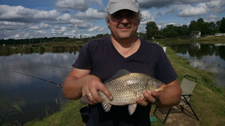 Prussian carp
