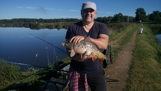 Mirror carp