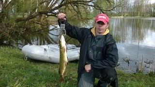 Northern Pike