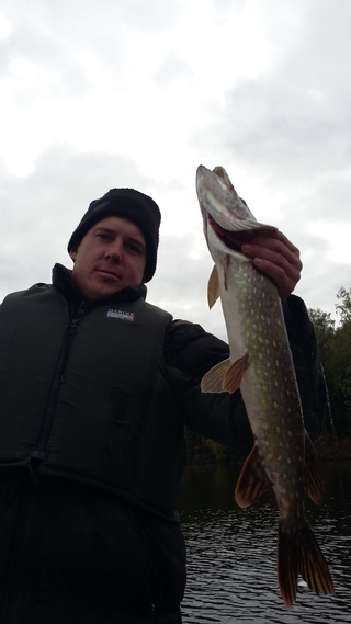 Northern Pike