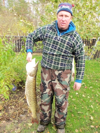 Northern Pike