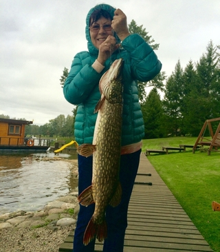 Northern Pike