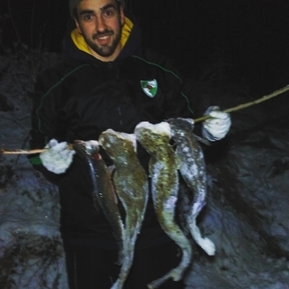 Burbot
