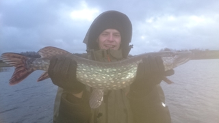 Northern Pike