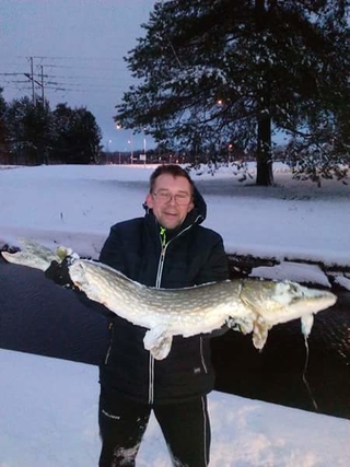 Northern Pike