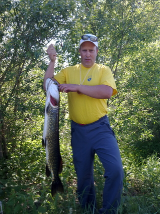 Northern Pike