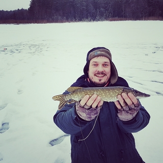 Northern Pike
