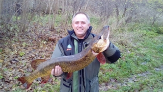Northern Pike