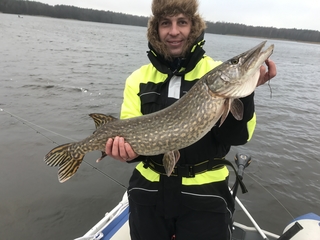 Northern Pike