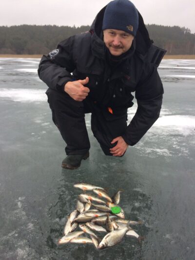Eurasian perch