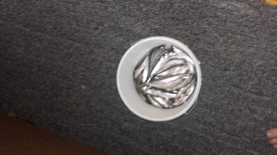 European smelt ×110 — Kuršių