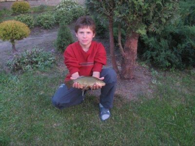 Tench, 0.8 kg — Tauragės