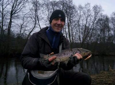 Brown Trout