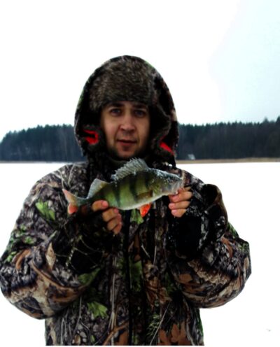 Eurasian perch — Luodis