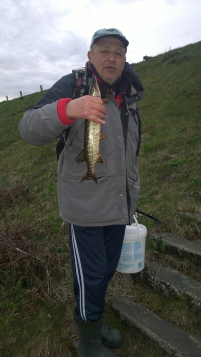 Northern Pike — Armona