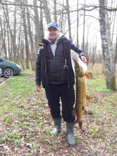 Northern Pike, 8.5 kg