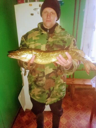 Northern Pike, 1.5 kg — Striūpys