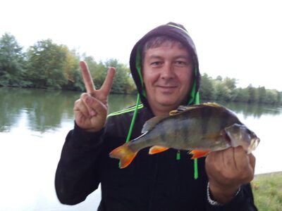 Eurasian perch, 0.8 kg — La Moselle