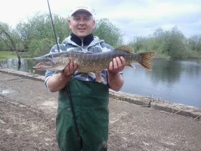Northern Pike, 3.9 kg — Leitalė